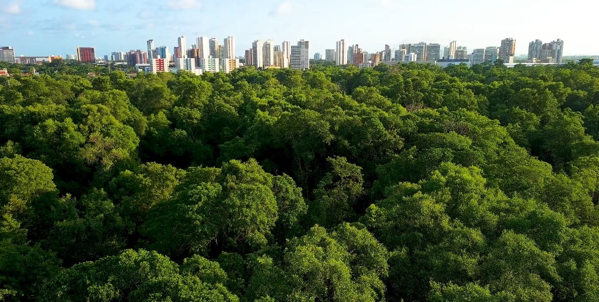 Sustainability and ESG criteria